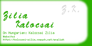 zilia kalocsai business card